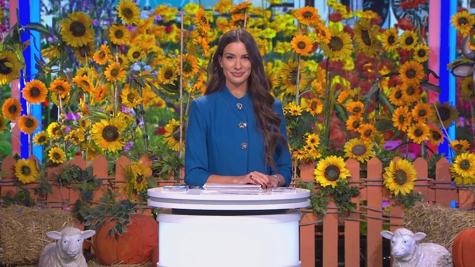 PROGRAMSKA ŠEMA za 11. januar